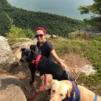 Fotos von Naara  Ferreira