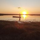 Books & Sunsets: Free Nature Meetup in Kavimba's picture