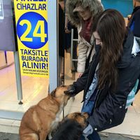 Daryll Carlson的照片