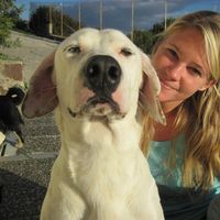 Melissa Borden's Photo