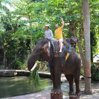 Yegor Morozov's Photo