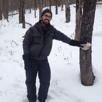 Photos de David Grenier