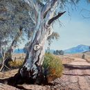 фотография Road Trip to Arrernte Country\Alice Spring 