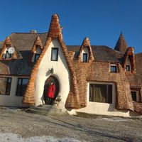 Melania Anton's Photo