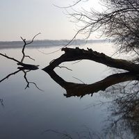 Katarzyna Lenarcik's Photo