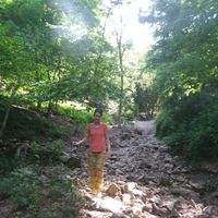 Aline Florence的照片