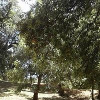 Fotos de Lhoussain Bouissoui