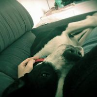 Ana Šteblaj的照片