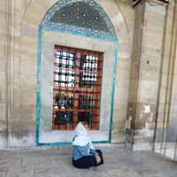 Alexandra Macari的照片