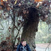 Alexandre Pomero的照片