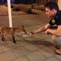 Jordan Harrison的照片