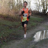 Mahmoud Mahmoudi的照片