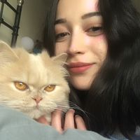 Dilara hsslgakyakys的照片