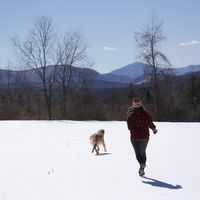 alice Mazel的照片