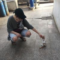 Photos de Linde maerz