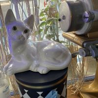 Ilaha Salamova's Photo