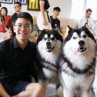 Photos de Zheng Rong Darren Chu