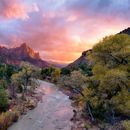 Road Trip To Zion National Park's picture