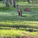 Margaret River -> Perth's picture