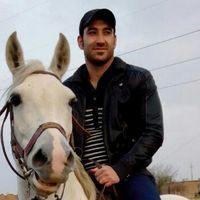 Zdjęcia użytkownika hamed arshin