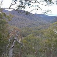 Peter Nowland's Photo