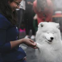 Arianne Joseph的照片