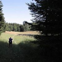 Lan Lilla Nguyen's Photo