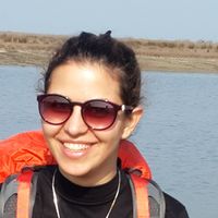 Shima Tayari的照片