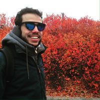 Henrique Mendonca's Photo