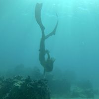 Seraph D’Alerta的照片