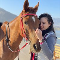 Nour M. Radwan's Photo