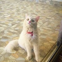 saleem Abdull's Photo