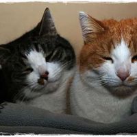 Kathan Simon's Photo