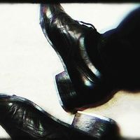 Javier Villamil的照片