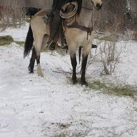 Tyler  Sorch's Photo