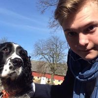 Фотографии пользователя Simon Mannheimer