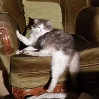 Luce Berhonde的照片