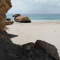 Amin Mohammed's Photo