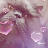 Irina Lapshinova的照片