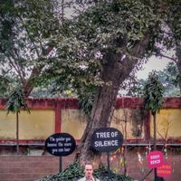 Photos de Daavid Väänänen