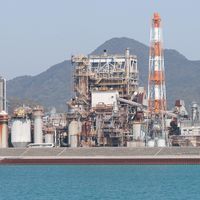 Guillaume Povie's Photo