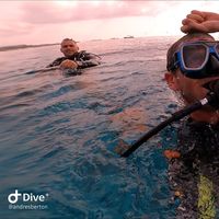 andres berton的照片