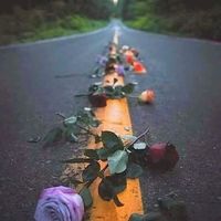 Mustafa Løgsîėr's Photo