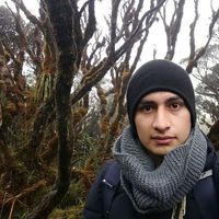 Román López Enríquez的照片