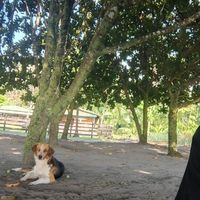 Tian M. Harris's Photo