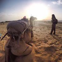 Le foto di Jestine Puyogao