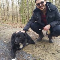 Musa Şimşek的照片