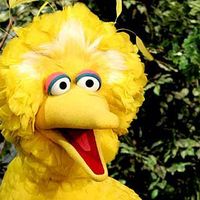 Alvaro Ramirez's Photo