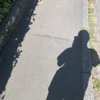 Ervi Gwongso's Photo