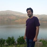 Mehdi H's Photo